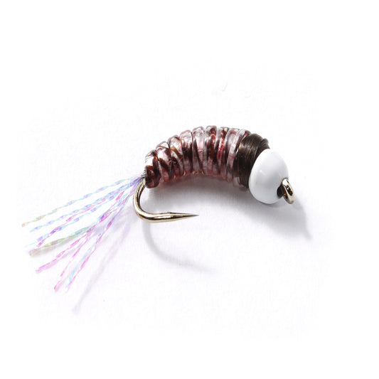 Loony Bin Bugs and Grubs:  Ice Grubs Goby