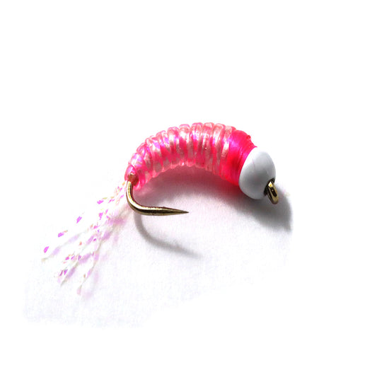 Loony Bin Bugs and Grubs:  Ice Grubs Pink Candy