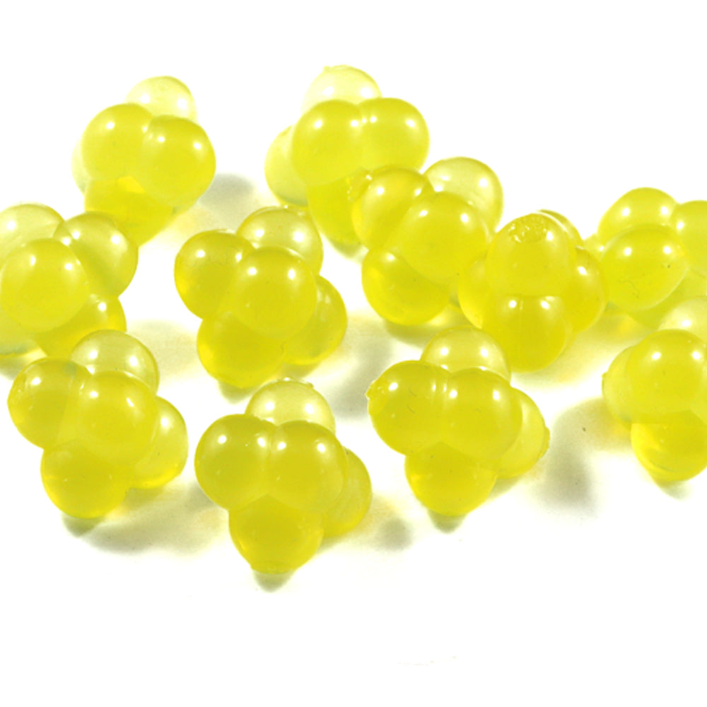 Egg Clusters : Sucker Roe
