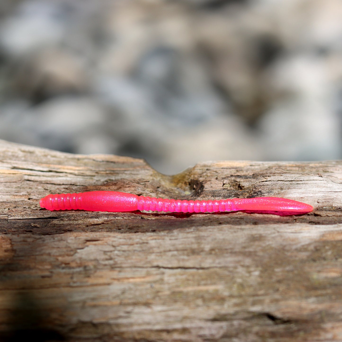 Ditch Crawler Worms: Alouette Pearl