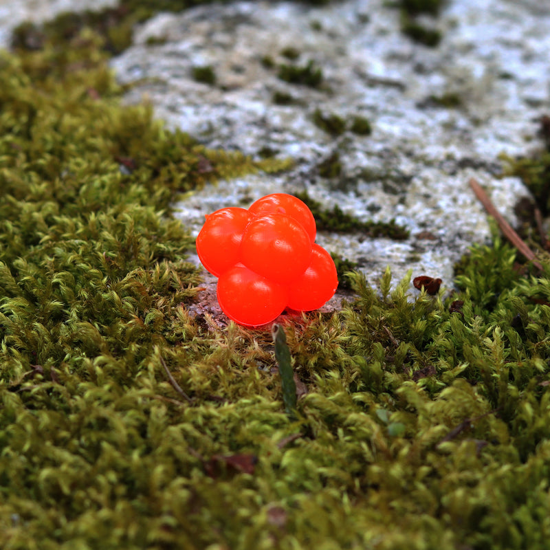 Egg Clusters